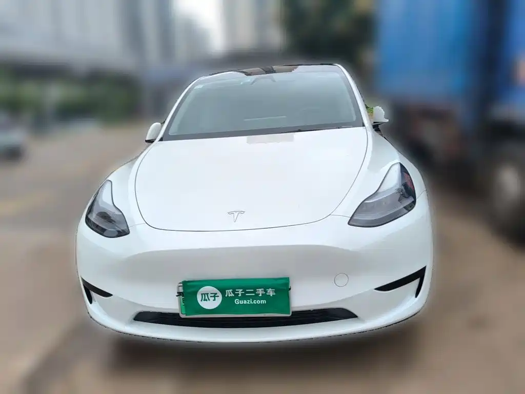 Tesla Model Y — миниатюра 2