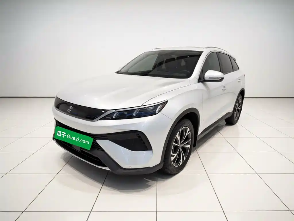 BYD Pro New Energy