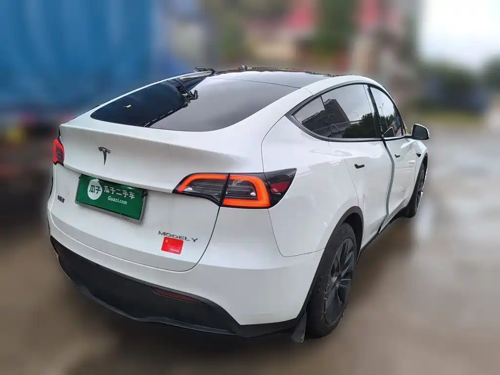 Tesla Model Y — миниатюра 4