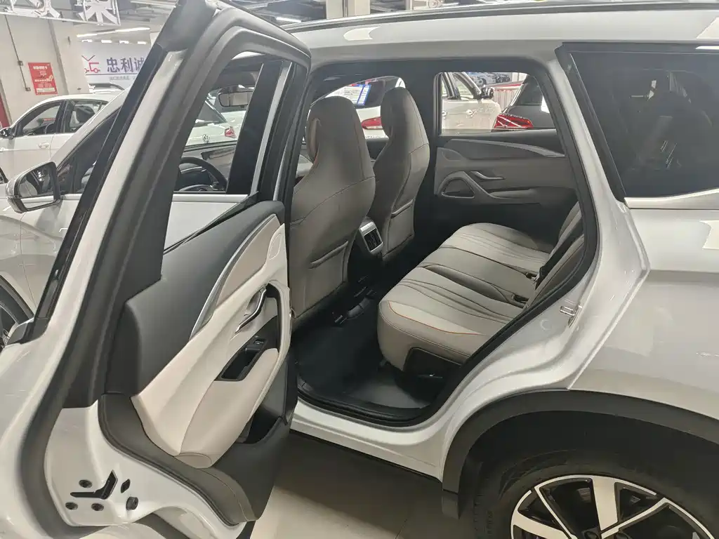 BYD Pro New Energy - фото 8