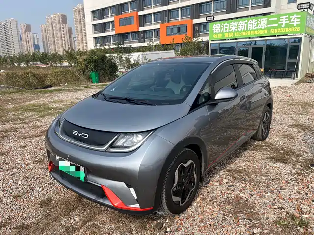 BYD Dolphin