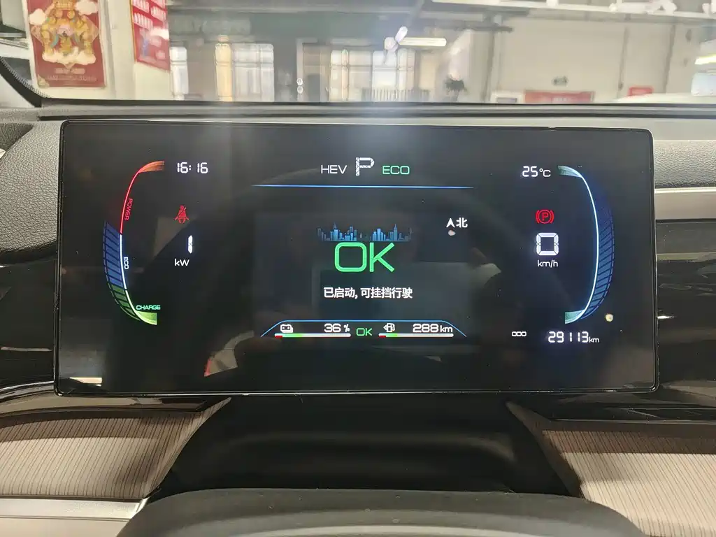 BYD Pro New Energy - фото 20