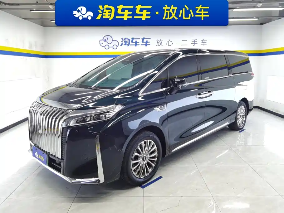 Wey 魏牌 高山新能源