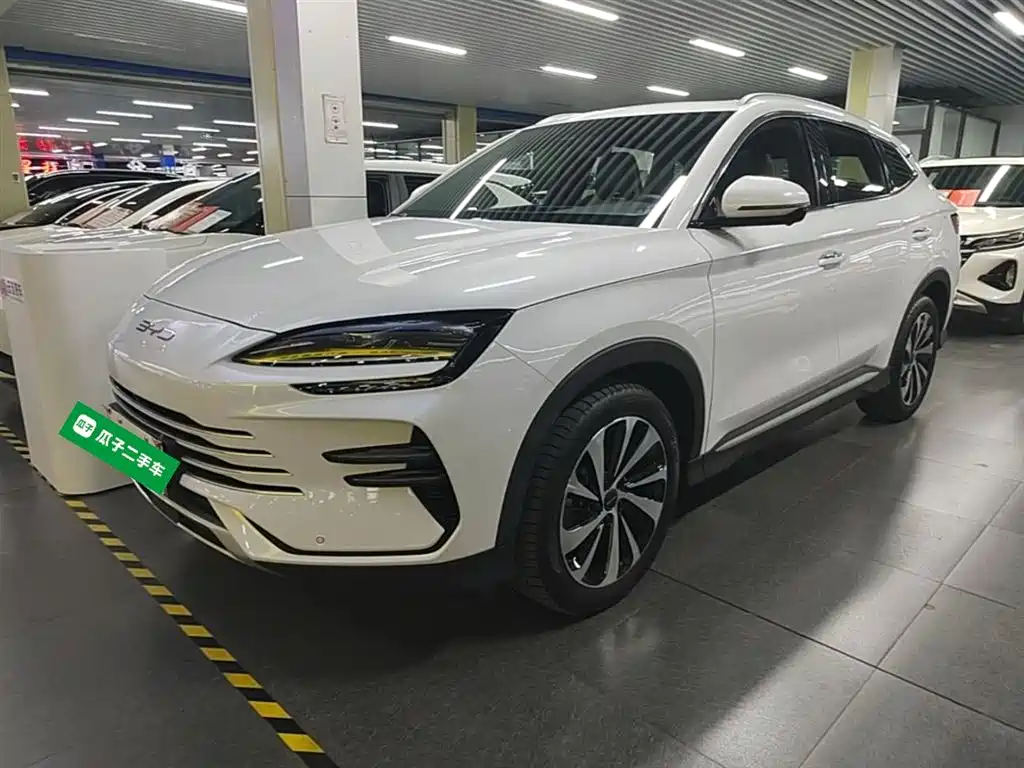 Byd PLUS New Energy 2025