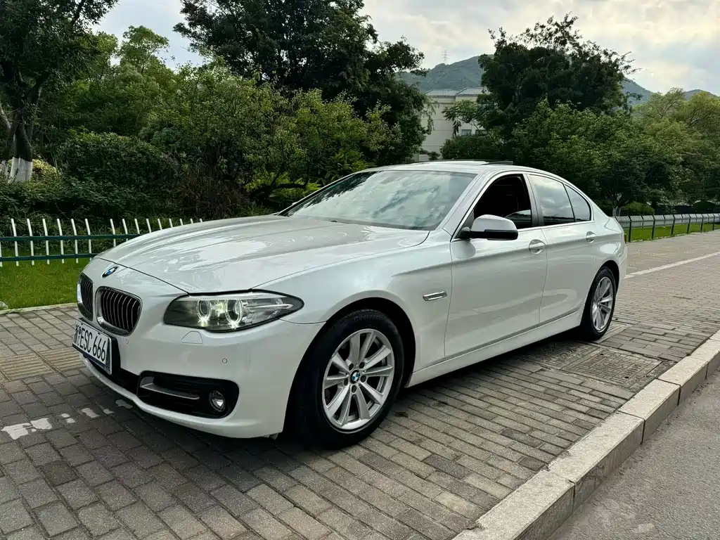 BMW 5 Series (Import) 2017