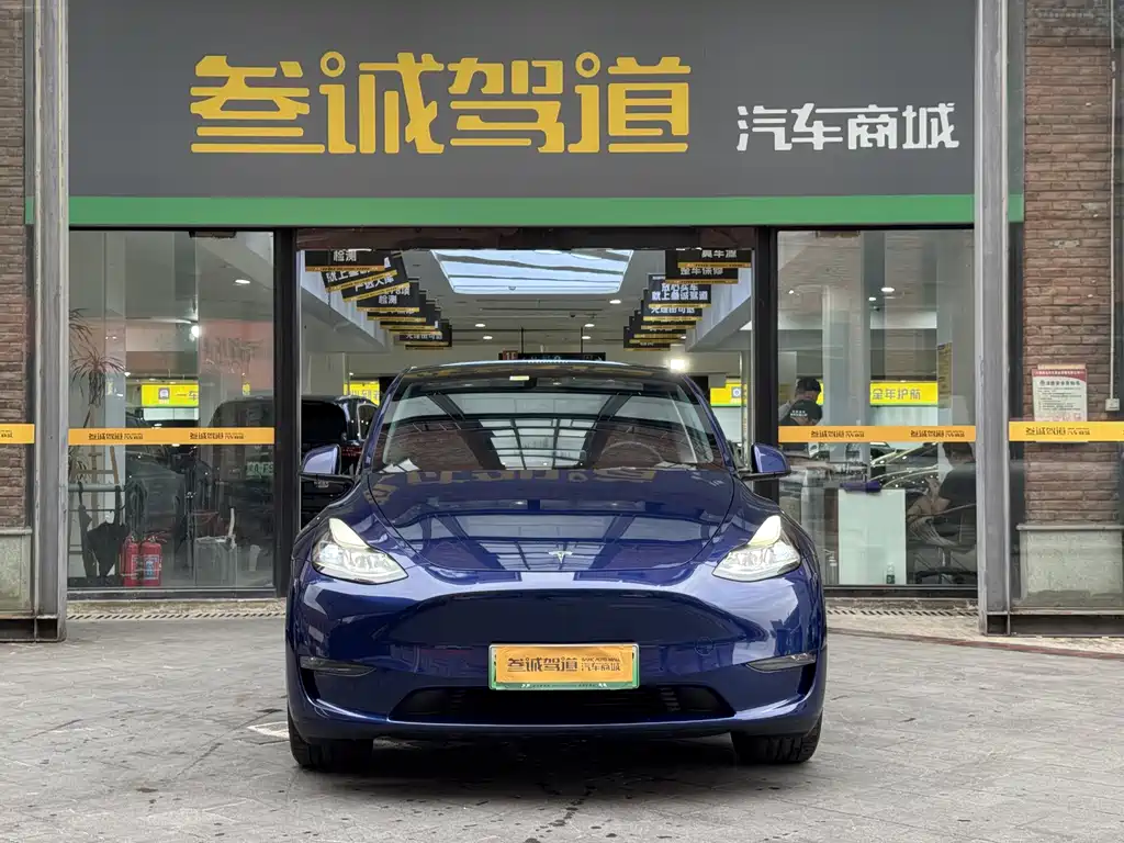 Tesla Model Y — миниатюра 2