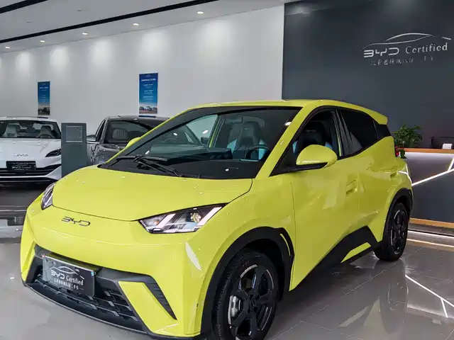 2024 BYD Seagull