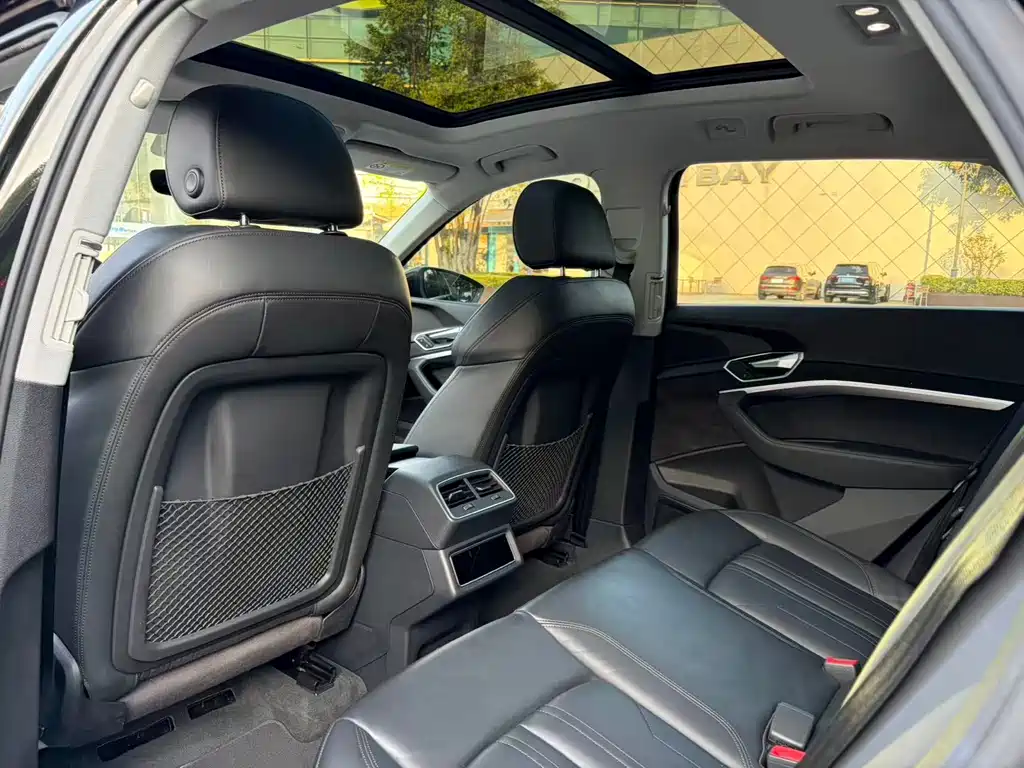Audi e-tron (Import) — миниатюра 13