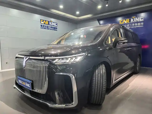 2025 Voyah Dream