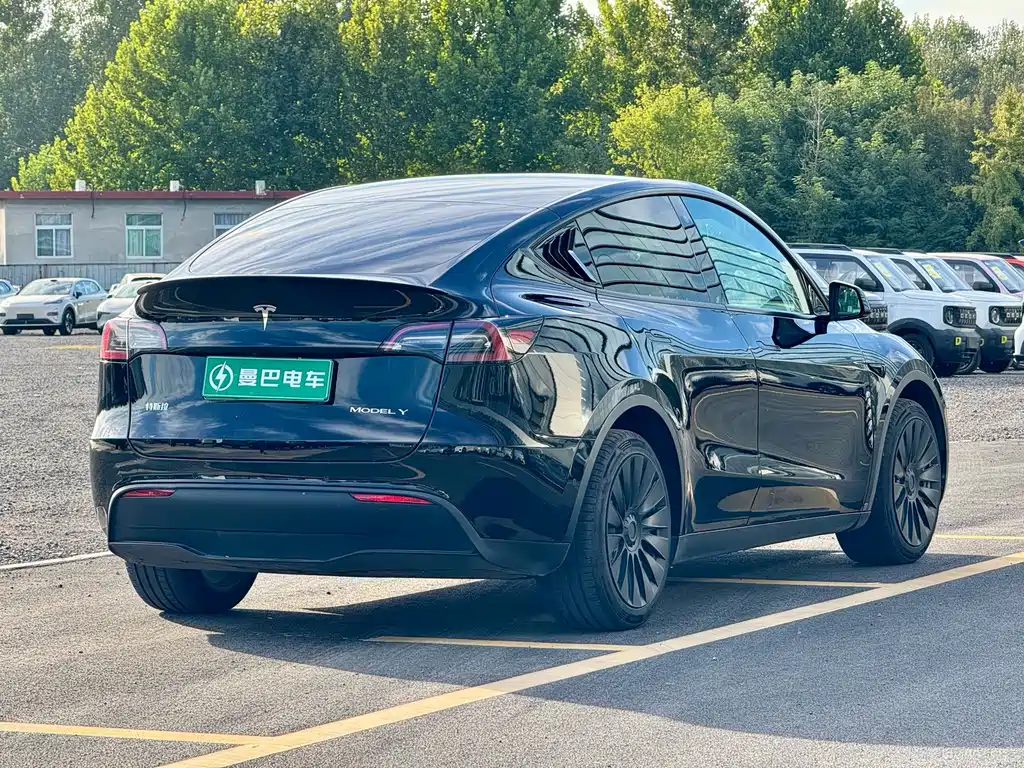 Tesla Model Y — миниатюра 6