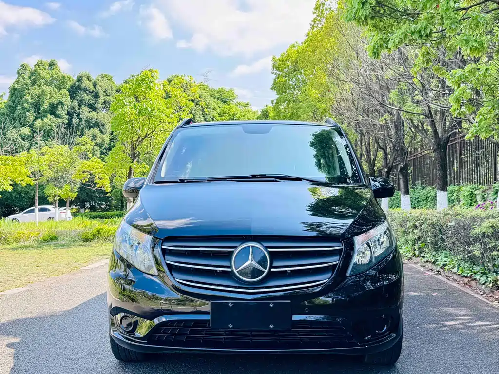 Mercedes-Benz Vito 2021 2.0T 9 мест