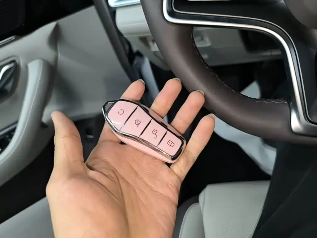 BYD PLUS New Energy — миниатюра 9