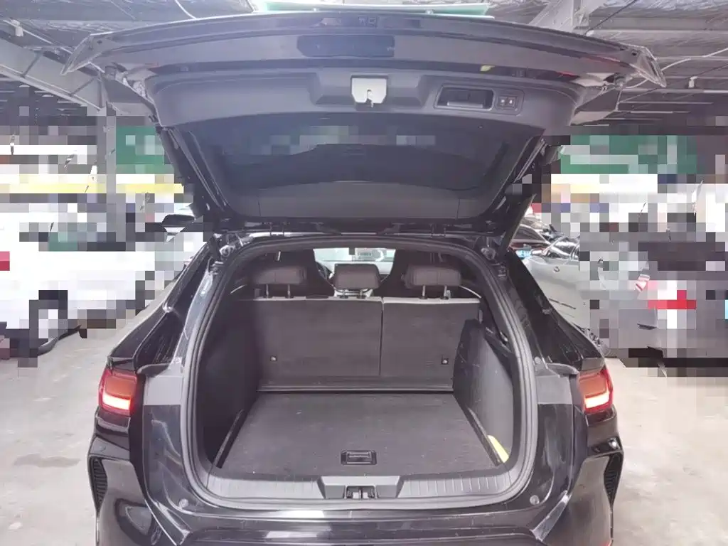 BYD PLUS New Energy — миниатюра 19