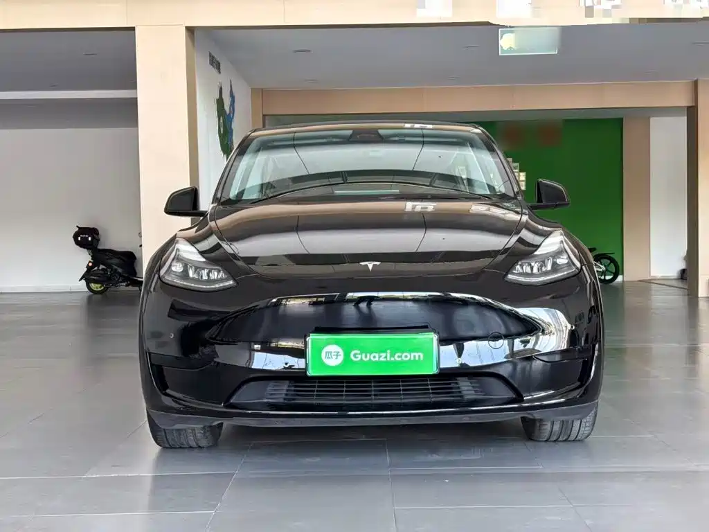 Tesla Model Y — миниатюра 3