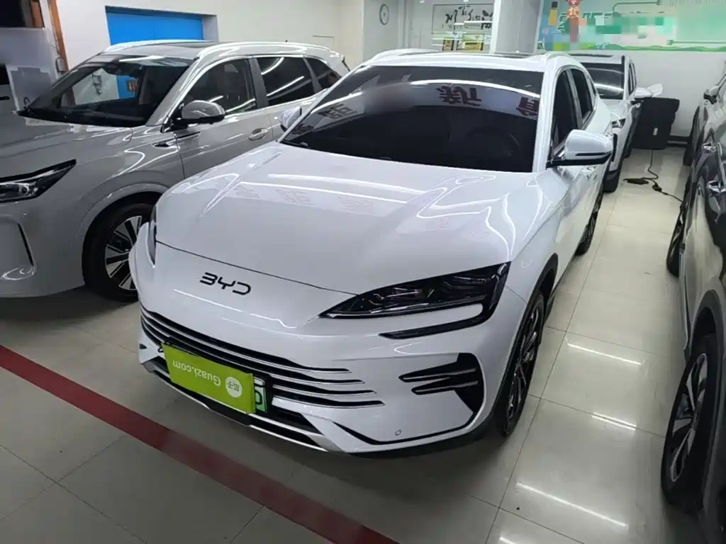 BYD PLUS New Energy — миниатюра 2