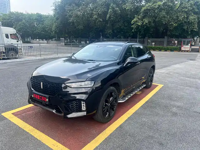 WEI PAI WEI BRAND VV7 2019