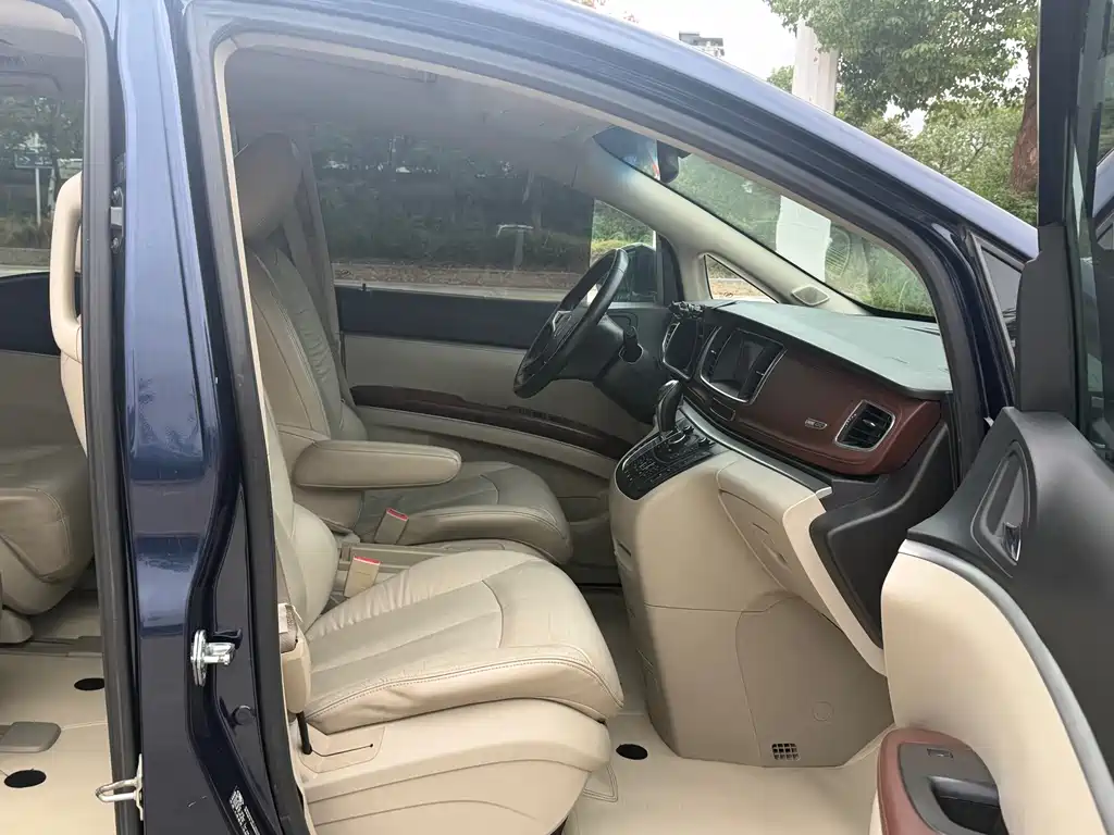 Buick GL8 — миниатюра 18