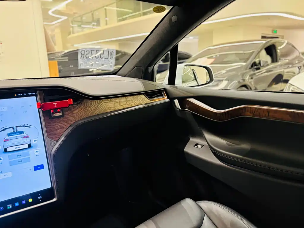 Tesla Model X — миниатюра 14