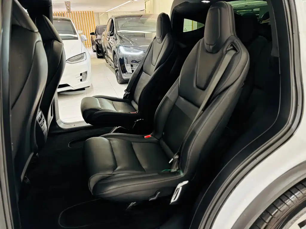 Tesla Model X — миниатюра 20