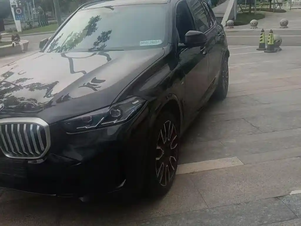 BMW X5 — миниатюра 6