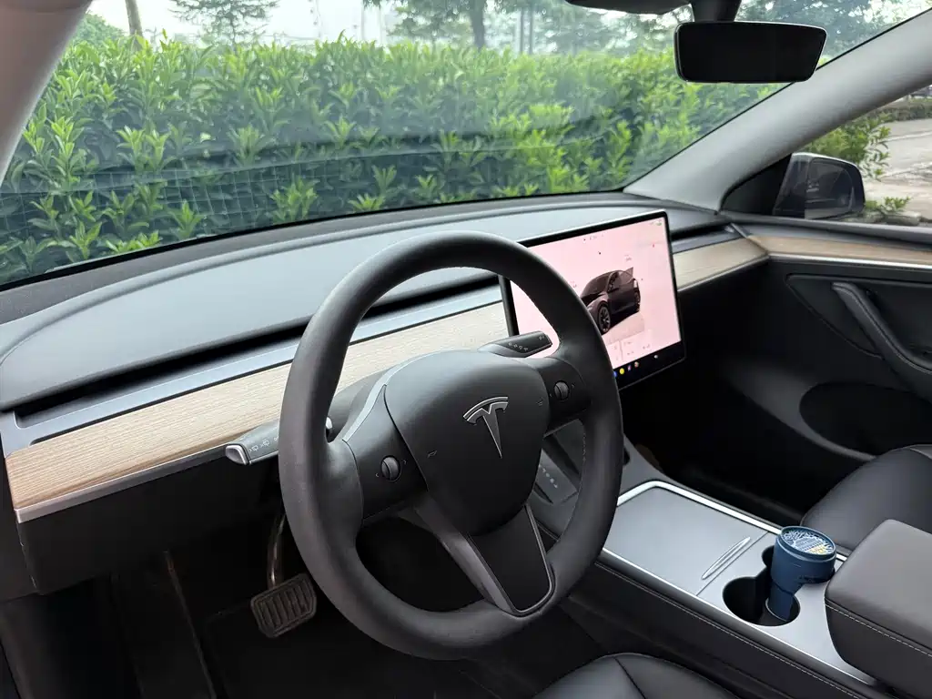 Tesla Model Y — фотографии объявления, Фото 12