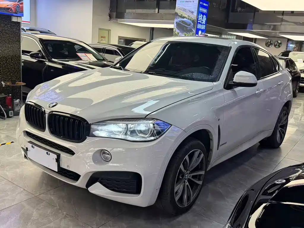 BMW X6 2019