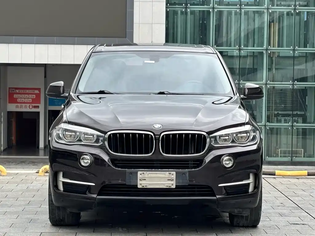 BMW X5 (Import) — миниатюра 2
