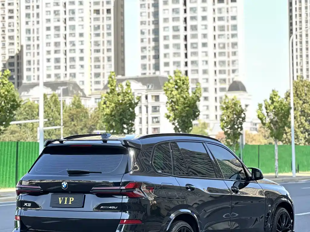 BMW X5 — миниатюра 6
