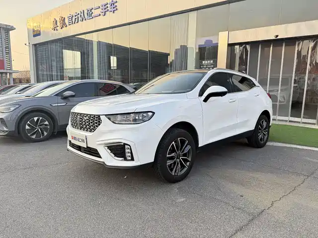 WEI PAI WEI BRAND VV5 2021