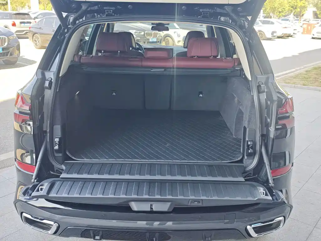 BMW X5 — миниатюра 8