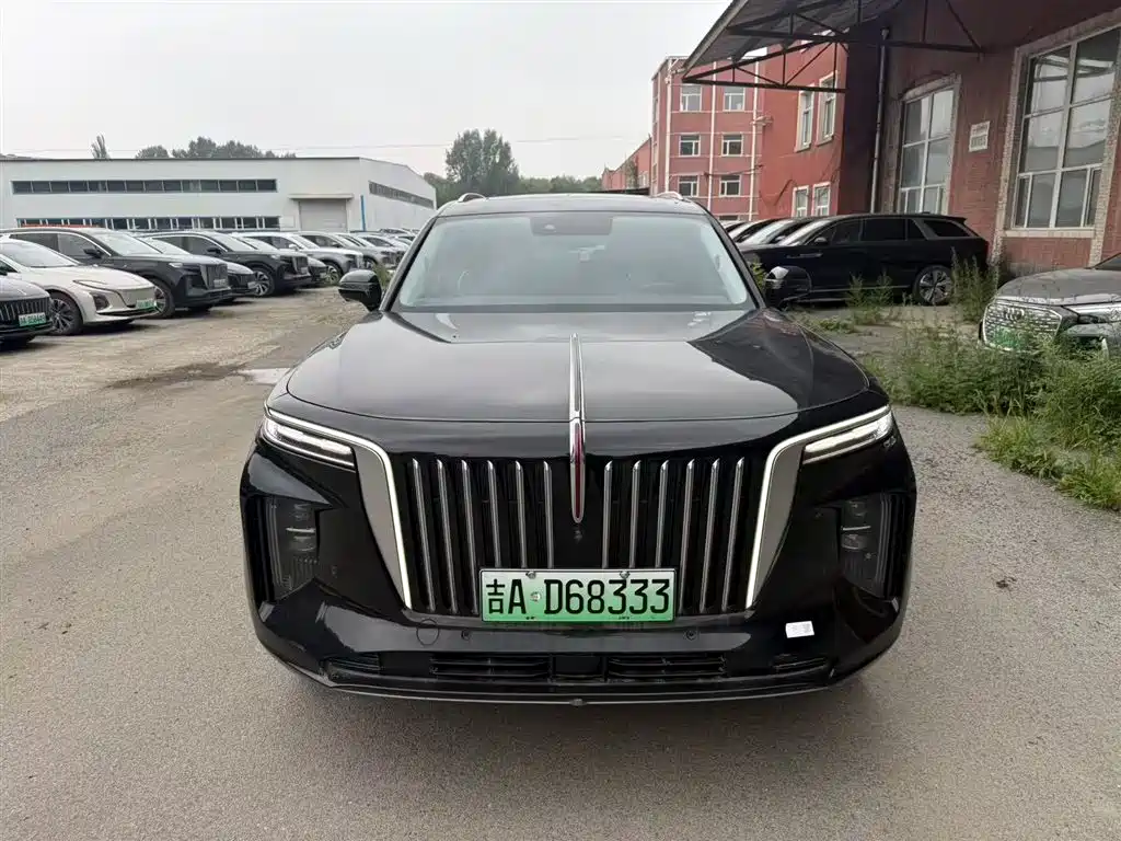Hongqi E-HS9 2022 690km мест