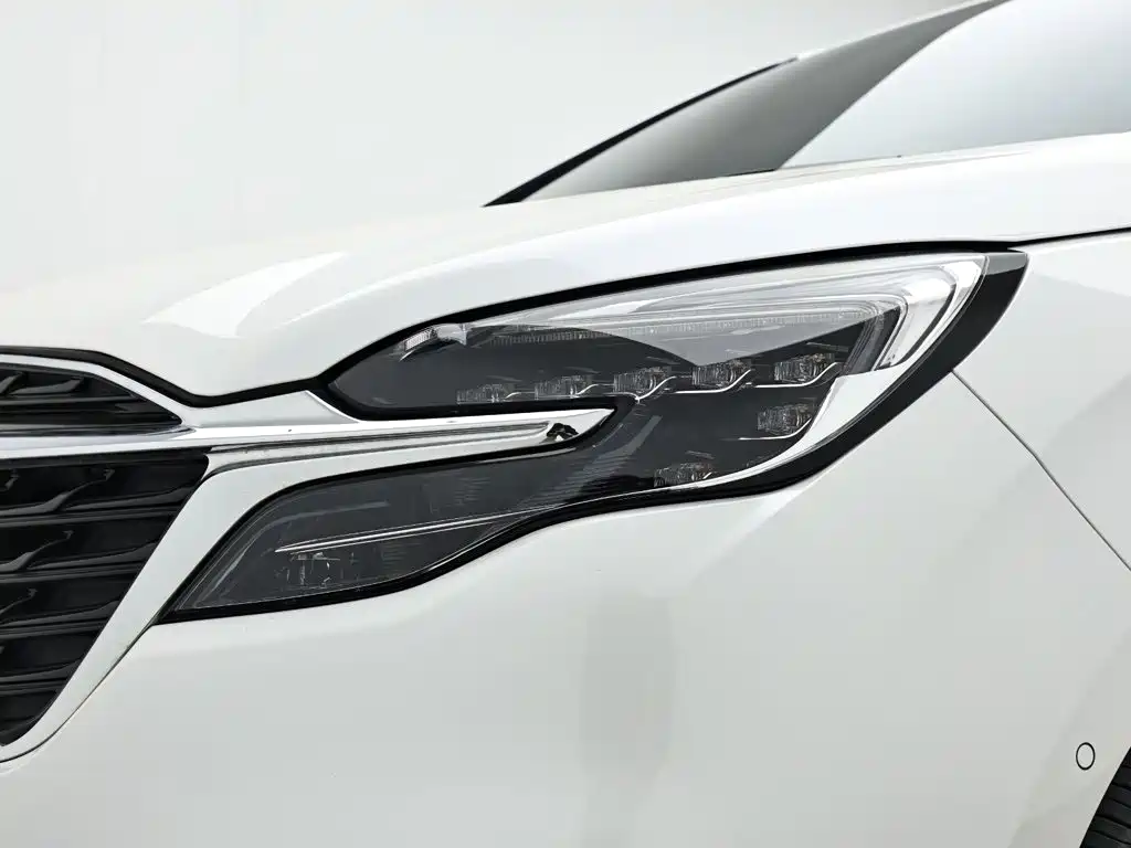 Buick GL8 — миниатюра 10