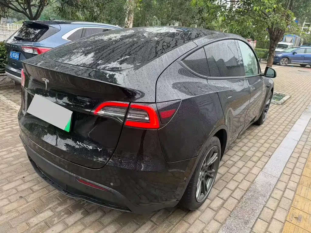 Tesla Model Y — миниатюра 2