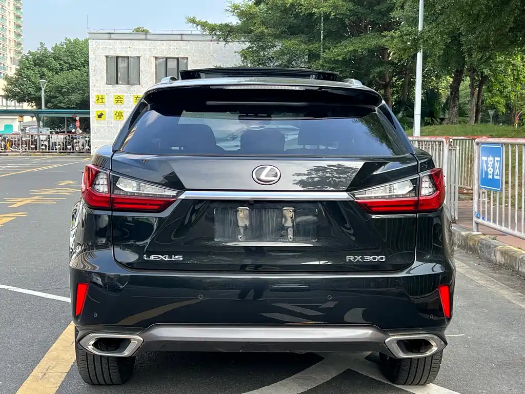 LEXUS RX