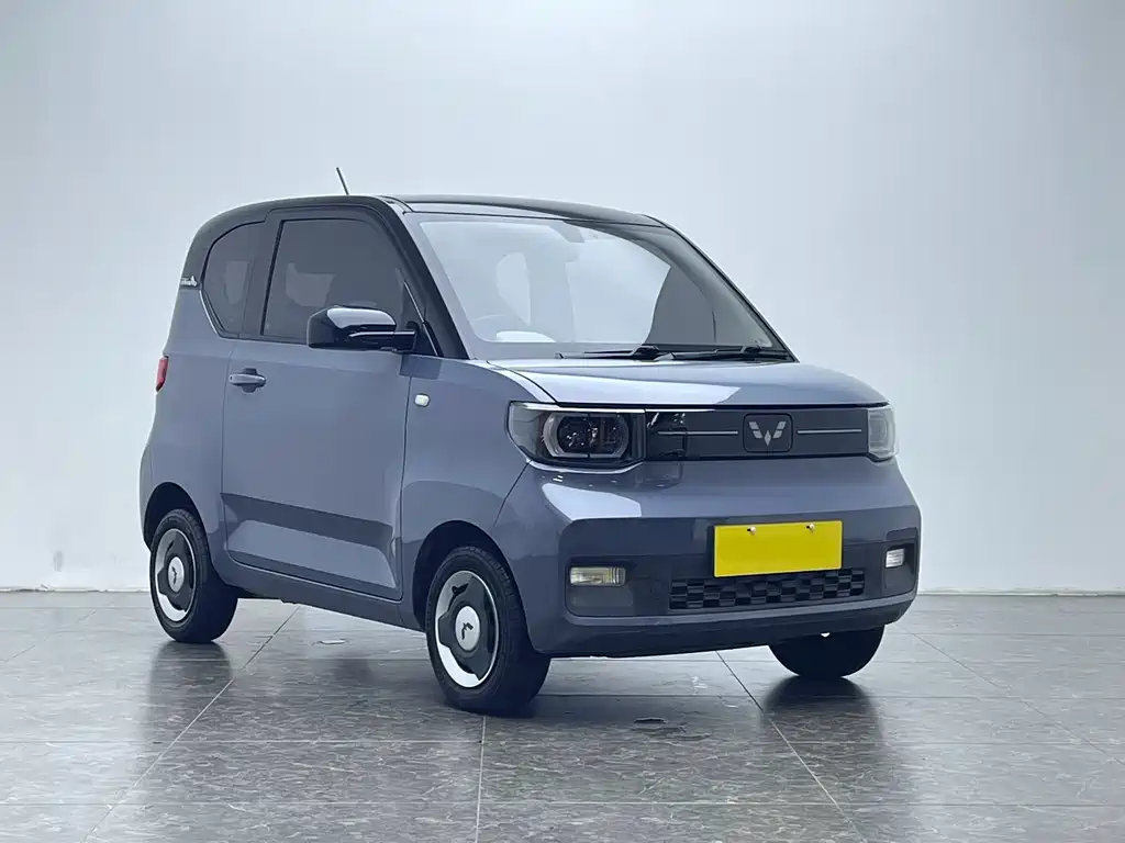 Wuling Mini EV MINIEV 2022 Enjoy