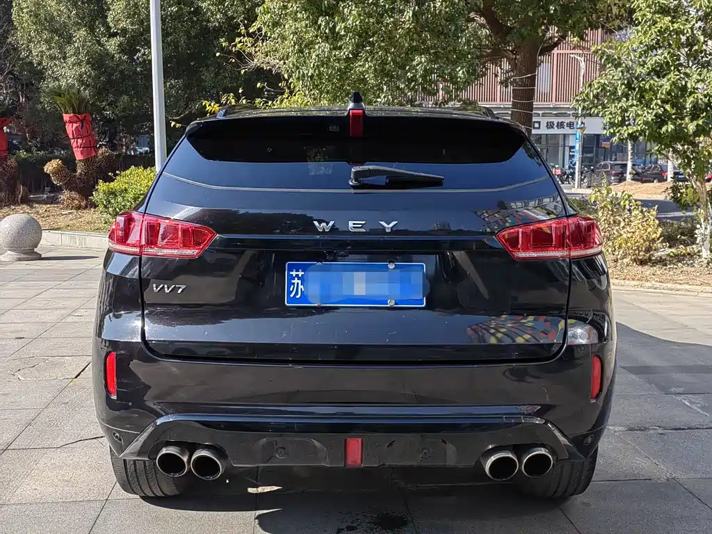 WEI PAI WEI BRAND VV7