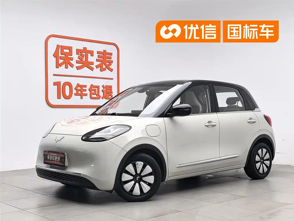 Wuling Binguo 2023 333km Delight