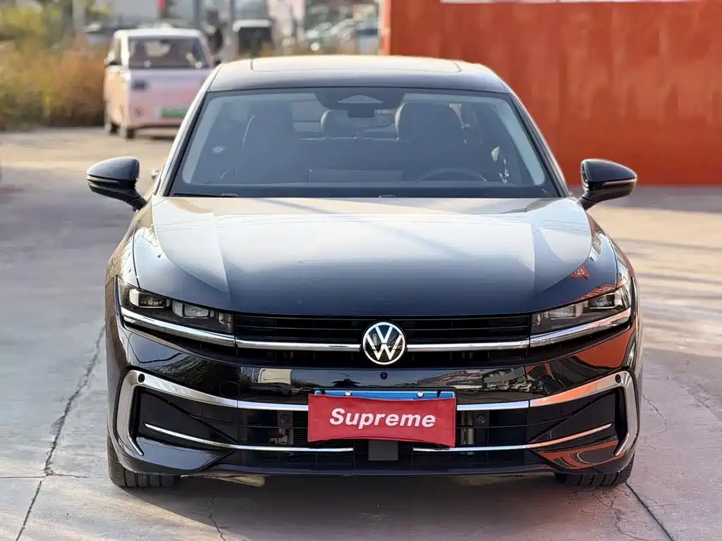 Volkswagen Magotan — миниатюра 2