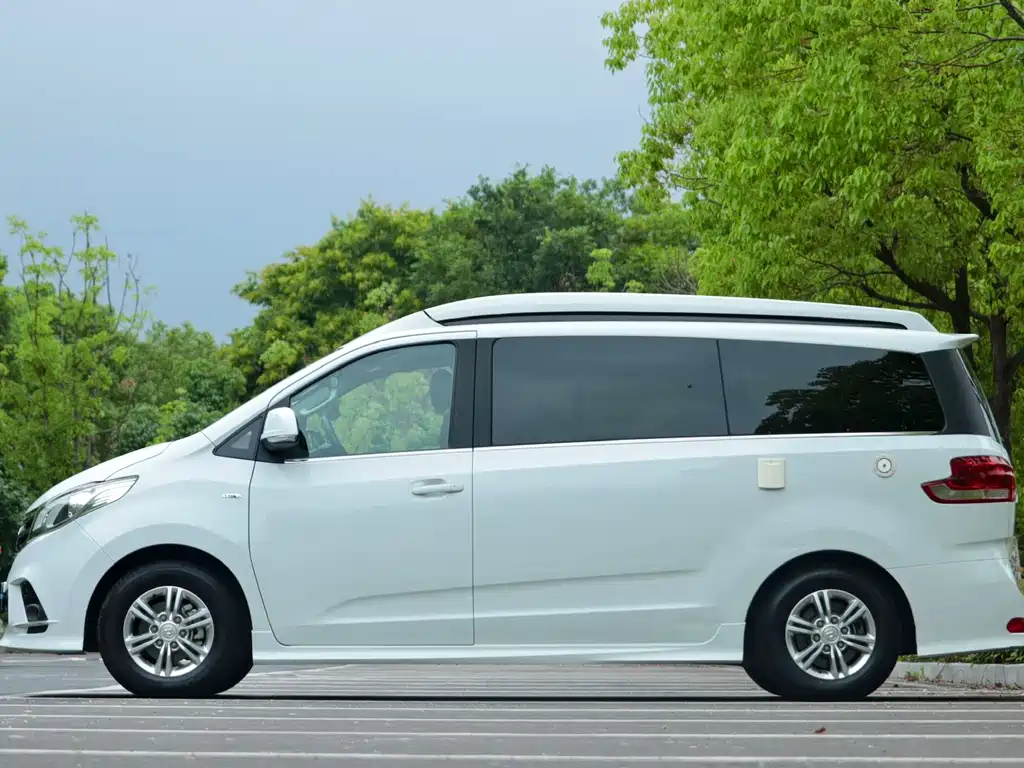 SAIC MAXUS RG10 2019 2.0TGI