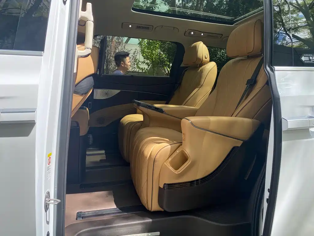 Denza Denza D9 — миниатюра 11