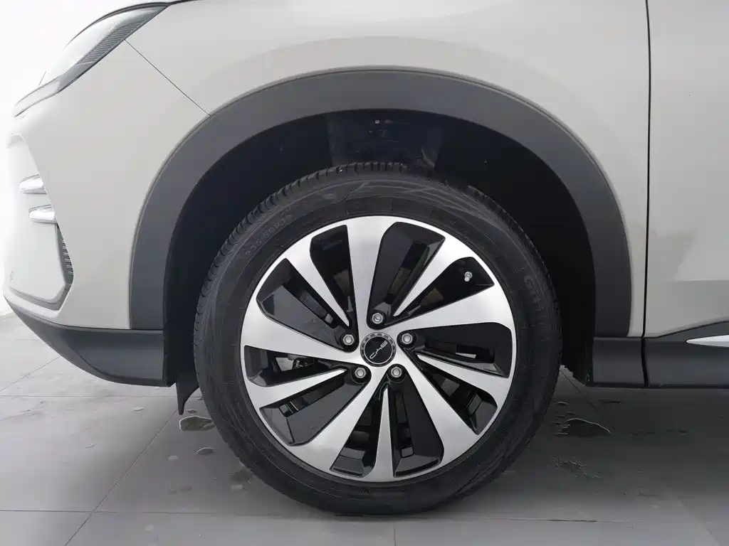 BYD PLUS New Energy — миниатюра 17