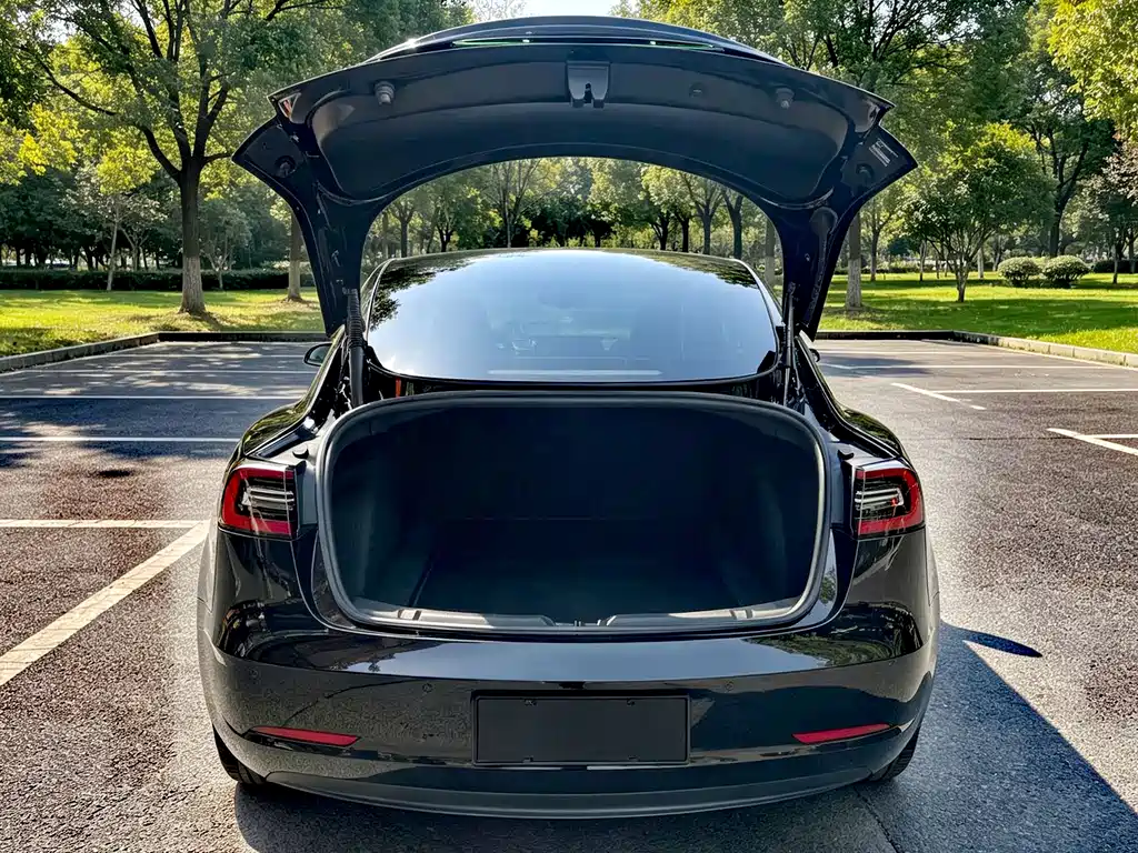 Tesla Model 3 — миниатюра 9