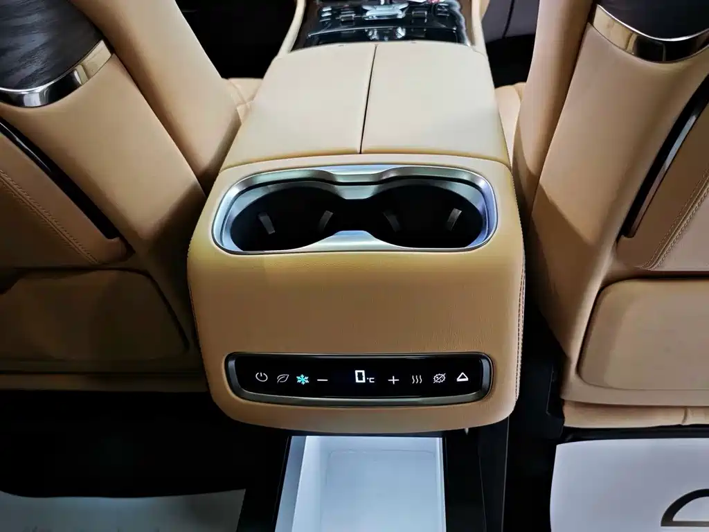Denza Denza D9 — миниатюра 10