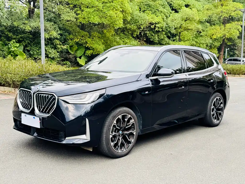 BMW X3 — миниатюра 3