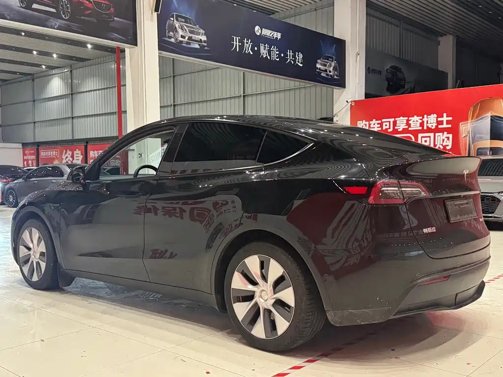 Tesla Model Y — миниатюра 6