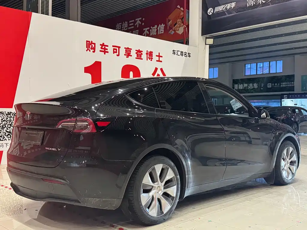 Tesla Model Y — миниатюра 4