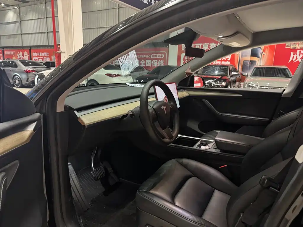 Tesla Model Y — миниатюра 7