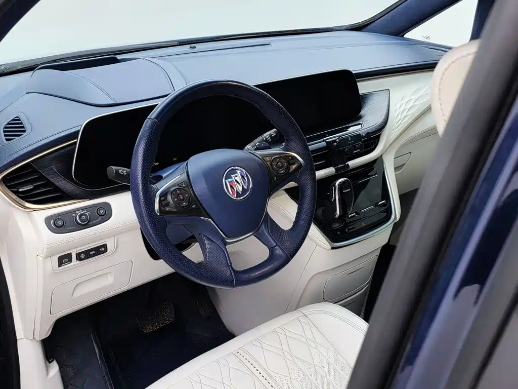 Buick GL8 — миниатюра 42