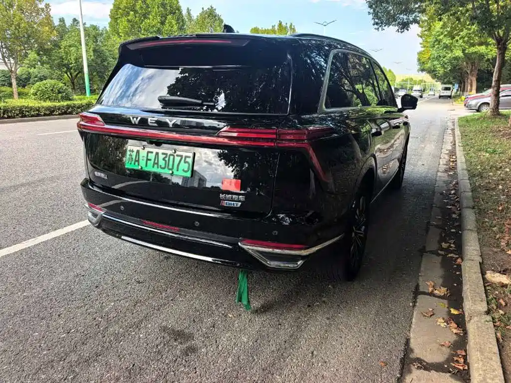Wey Wey Lanshan — миниатюра 2