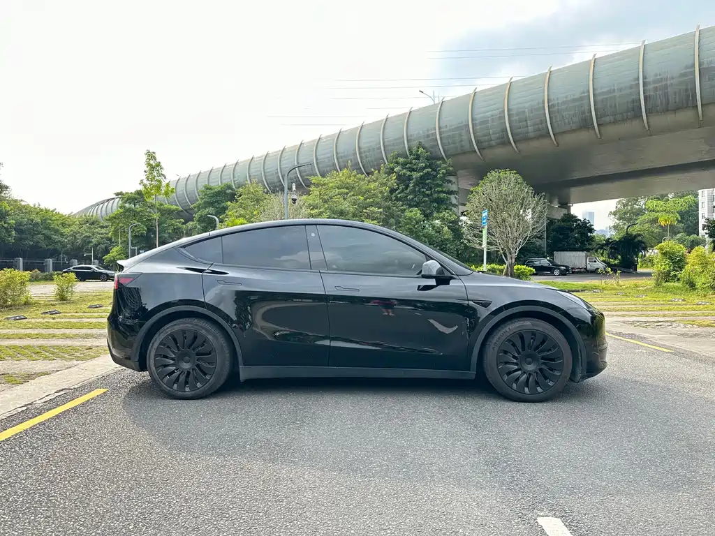 Tesla Model Y — миниатюра 7